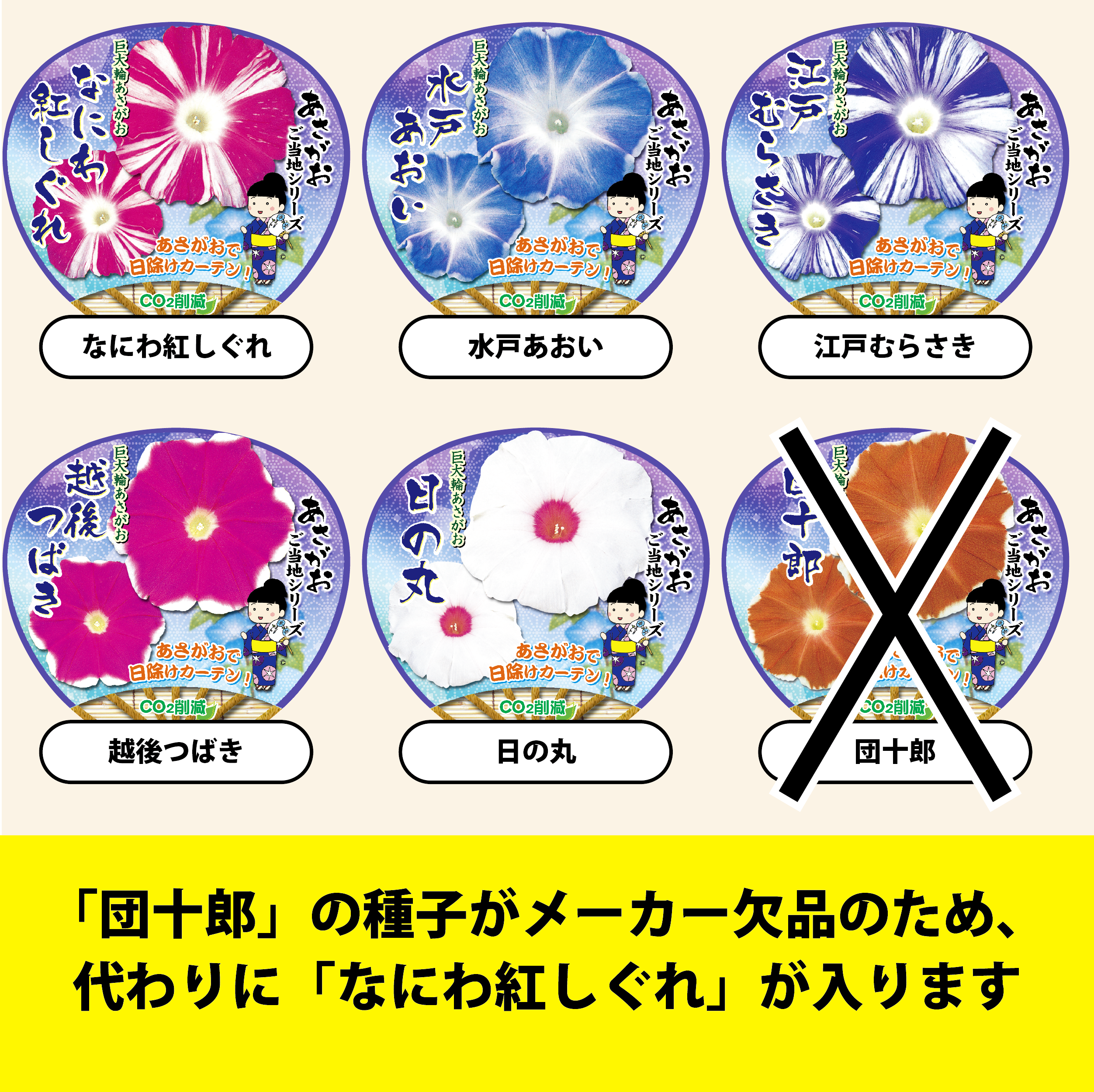 【26春夏5月中旬納品】朝顔ご当地シリーズ5品種アソート