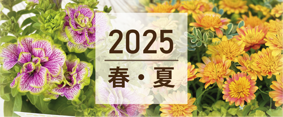 2025春・夏