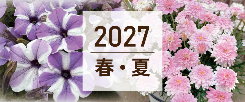 2027春・夏