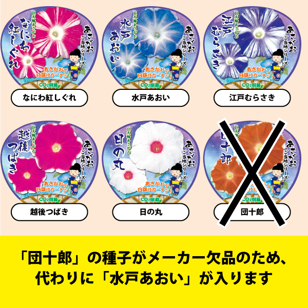 【26春夏5月中旬納品】朝顔ご当地シリーズ5品種アソート