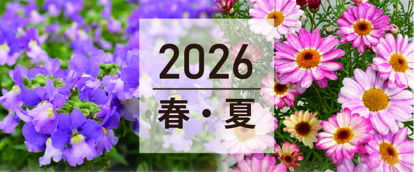 2026春・夏